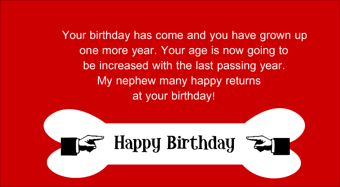 birthday wishes for nephew